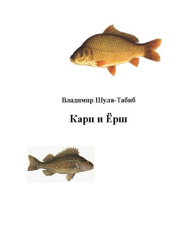Обложка книги «Карп и Ёрш»