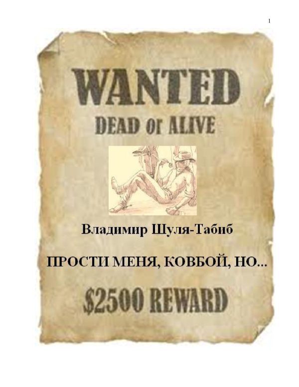 Обложка книги «Прости меня, ковбой, но...»