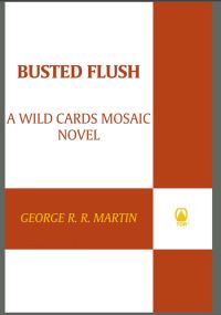 Обложка книги «Busted Flush»