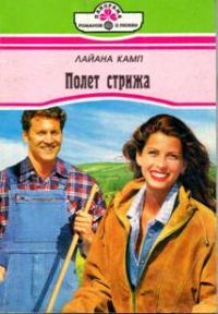 Обложка книги «Полет стрижа»