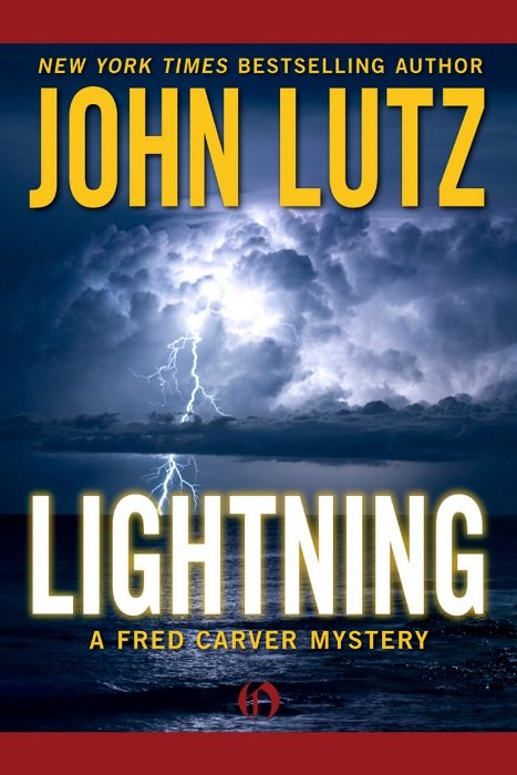 Обложка книги «Lightning»
