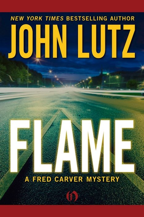 Обложка книги «Flame»
