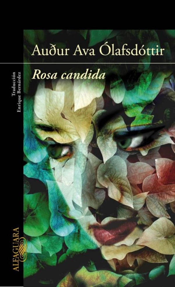 Обложка книги «Rosa candida»
