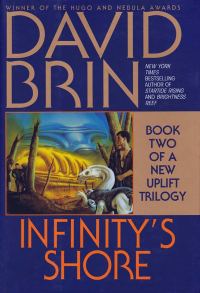 Обложка книги «Infinity's Shore»