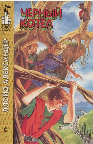 Обложка книги «Чёрный котёл»