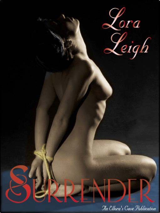 Обложка книги «Surrender»