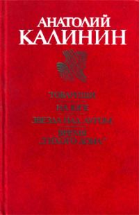 Обложка книги «Товарищи»