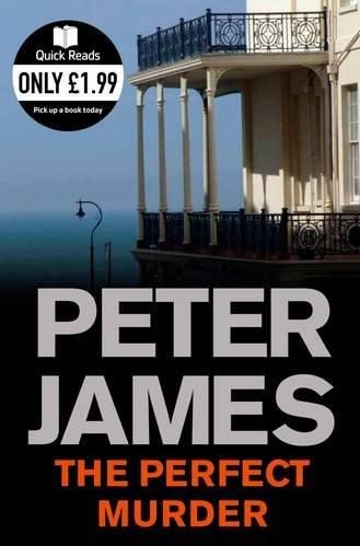 Обложка книги «The Perfect Murder»
