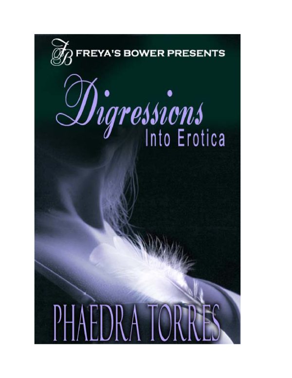 Обложка книги «Digressions Into Erotica»