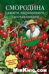 Обложка книги «Смородина. Сажаем, выращиваем, заготавливаем»