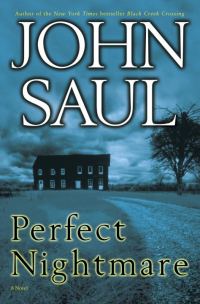 Обложка книги «Perfect Nightmare»