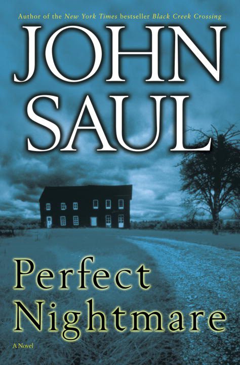 Обложка книги «Perfect Nightmare»