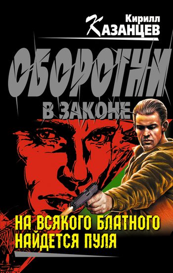 Обложка книги «На всякого блатного найдется пуля»