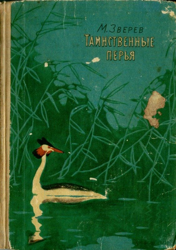 Обложка книги «Таинственные перья»