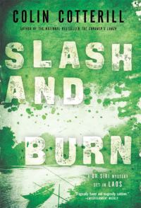 Обложка книги «Slash and Burn»