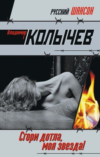 Обложка книги «Сгори дотла, моя звезда!»