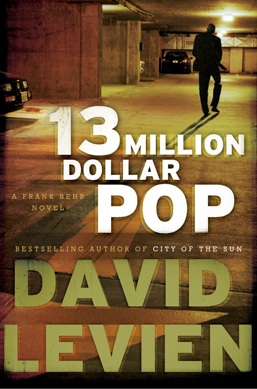 Обложка книги «Thirteen Million Dollar Pop»