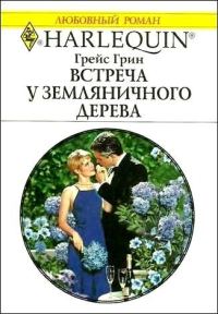 Обложка книги «Встреча у земляничного дерева»