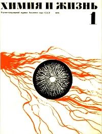 Обложка книги «Вася»