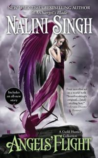 Обложка книги «Angels' Flight»