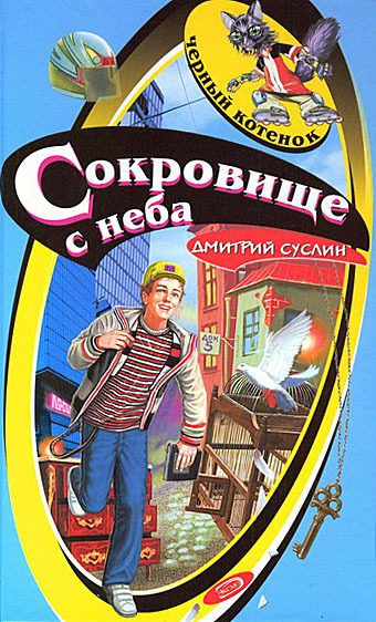 Обложка книги «Сокровище с неба»