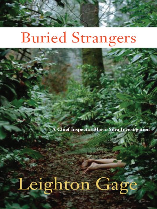 Обложка книги «Buried Strangers»
