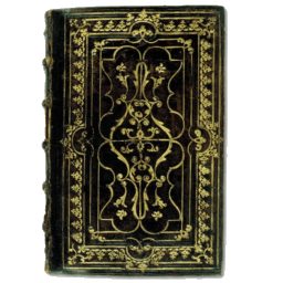 Обложка книги «Политические поэзы»