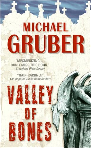 Обложка книги «Valley of Bones»