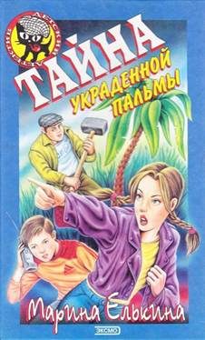 Обложка книги «Тайна украденной пальмы»