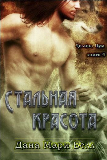 Обложка книги «Стальная красота»