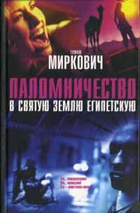 Обложка книги «Паломничество в Святую Землю Египетскую»