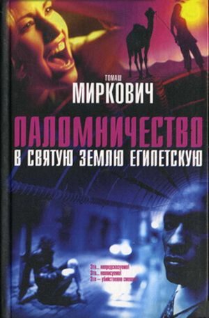 Обложка книги «Паломничество в Святую Землю Египетскую»