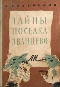 Обложка книги «Тайны поселка Званцево»
