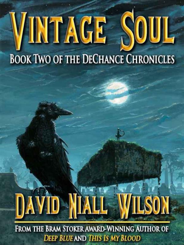 Обложка книги «Vintage soul»