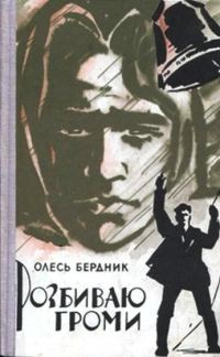 Обложка книги «Розбиваю громи»