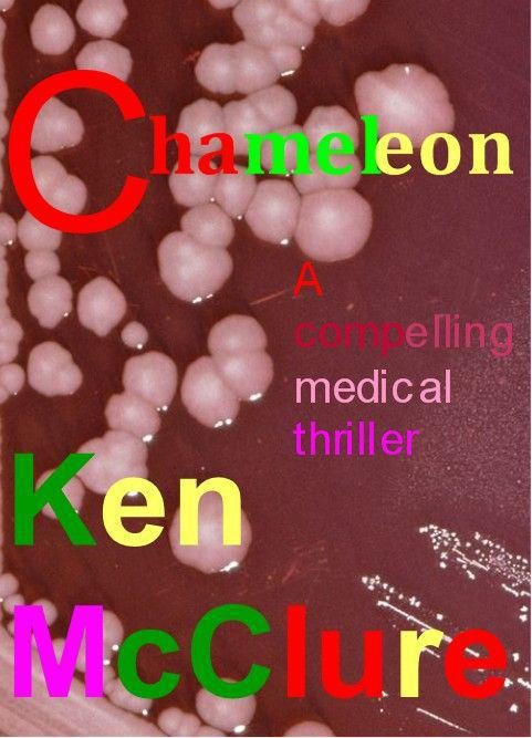 Обложка книги «Chameleon»
