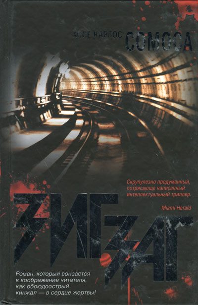 Обложка книги «Зигзаг»