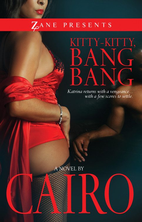 Обложка книги «Kitty-Kitty, Bang-Bang»