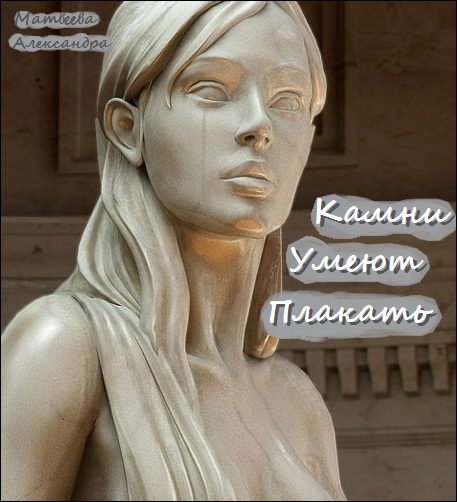 Обложка книги «Камни Умеют Плакать»