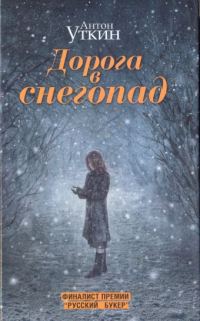 Обложка книги «Дорога в снегопад»