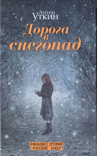 Обложка книги «Дорога в снегопад»