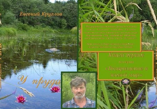 Обложка книги «У ПРУДА»