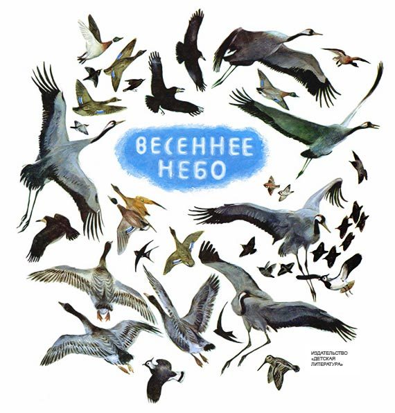 Обложка книги «Весеннее небо»
