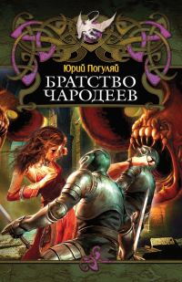 Обложка книги «Братство Чародеев»