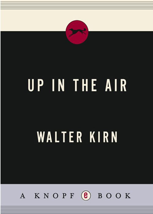 Обложка книги «Up in the Air»