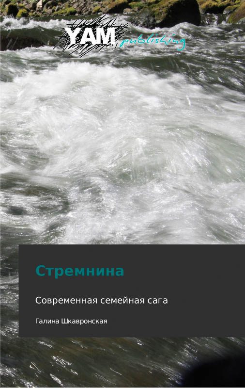 Обложка книги «Стремнина»
