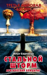 Обложка книги «Стальной шторм. Арктический блицкриг»