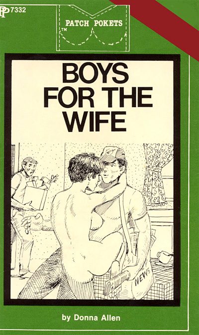 Обложка книги «Boys for the wife»