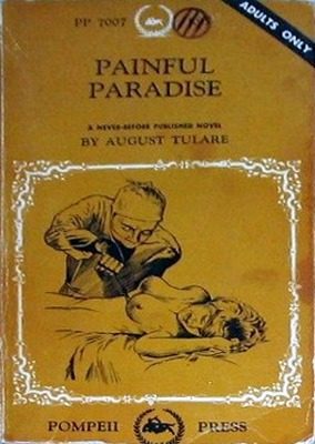 Обложка книги «Painful paradise»