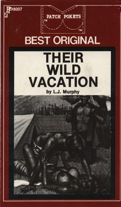 Обложка книги «Their wild vacation»